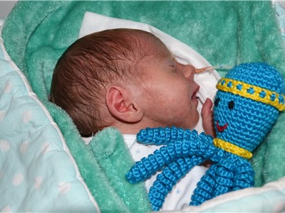 Chobotnička bývá první hračkou pro miminko po jeho narození. Foto: KZ, a. s./Petr Sochůrek