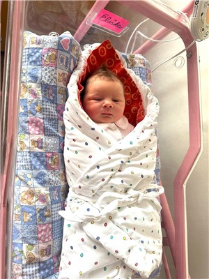Prvním miminkem narozeným v roce 2024 v porodnicích Krajské zdravotní je Eliška, která přišla na svět v litoměřické porodnici.