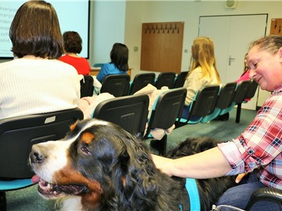 Dobrovolnický psí tým na setkání ve Vzdělávacím institutu Krajské zdravotní, a.s., zastupoval Artík.